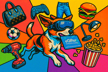 A dog wearing a VR headset carrying a gift card in his mouth, surrounded by tools, clothing, furniture, toys, and food.