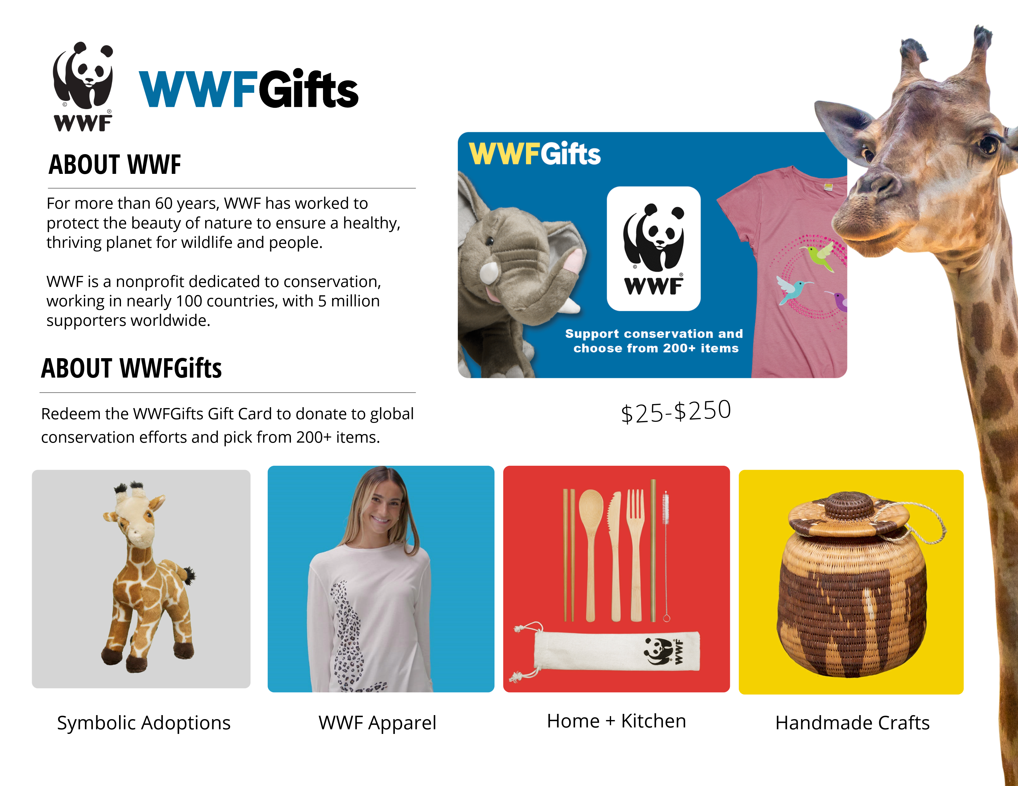 Image showcasing the brand's offerings